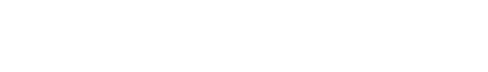 logo light